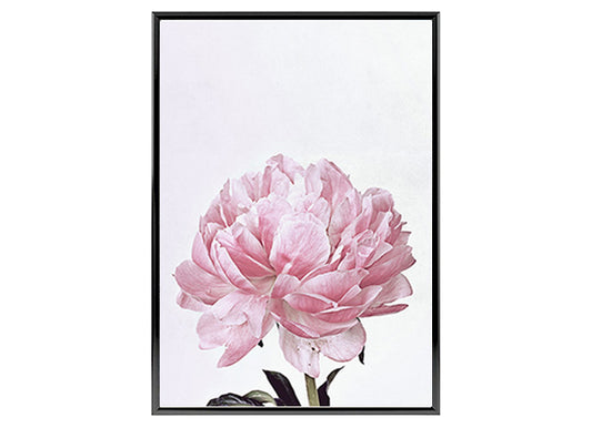 Pink Peony Flower Poster Print Wall Art Decor