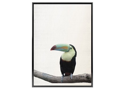 Toucan Tropical Bird Poster Print, Wall Art Home Decor