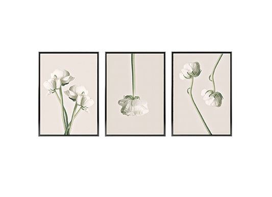 Set of 3 Poster Prints White Peonies, Wall Art Home Decor