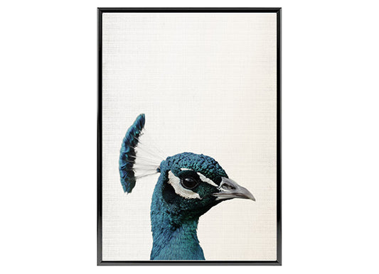 Peacock Bird Poster Print Wall Art Home Decor
