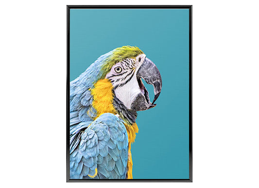 Turquoise Parrot Poster Print, Bird Wall Art, Home Decor