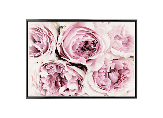 Large Bunch of Pink Peony Flowers Poster Print Wall Art Decor