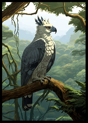 Harpy Eagle Bird Print Jungle Bird Print Wall Art Print Tropical Bird Poster