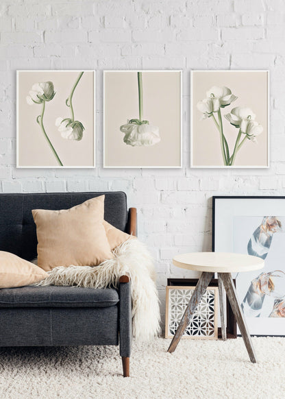 Set of 3 Poster Prints White Peonies, Wall Art Home Decor