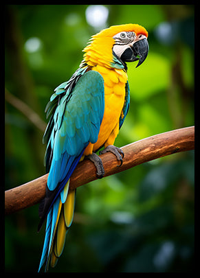 Macaw Parrot Jungle Bird Poster Wall Art Decor Tropical Exotic Bird Poster