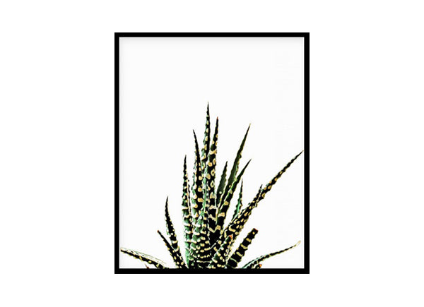 Desert Cactus Poster Print, Wall Art Home Decor