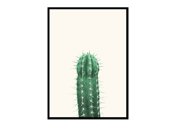 Cactus Botanical Poster Print, Wall Art Home Decor