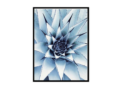 Succulent Cactus Poster Print, Cacti Wall Art Home Decor