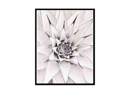 White Cactus Poster Print,Succulents and Cacti Wall Art Home Decor