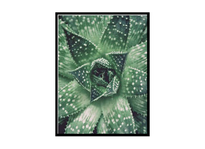 Succulent Art Poster Print, Cacti Wall Art Home Decor