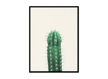 Cactus Poster Print