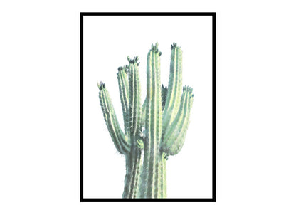 Cactus Art Print, Cacti Wall Art Home Decor Print