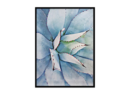 Succulent Cactus Poster Print, Cactus Wall Art Home Decor