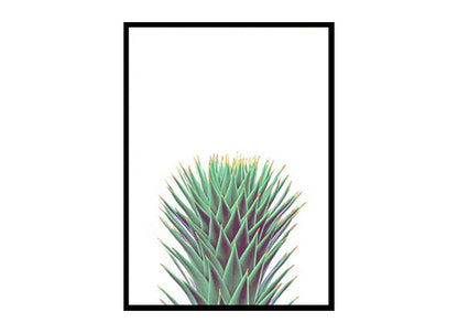 Cactus Poster Print, Botanical Print Wall Art Home Decor Print