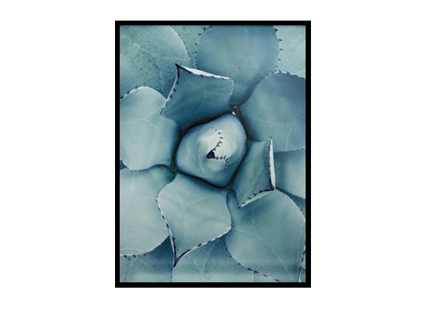 Cactus Poster Print, Cactus Wall Art Home Decor Print