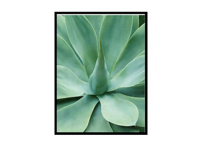 Minimalist Agave Minimalist Modern Art Poster Print