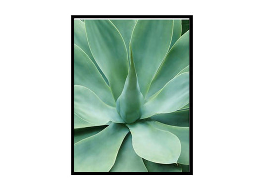 Minimalist Agave Minimalist Modern Art Poster Print