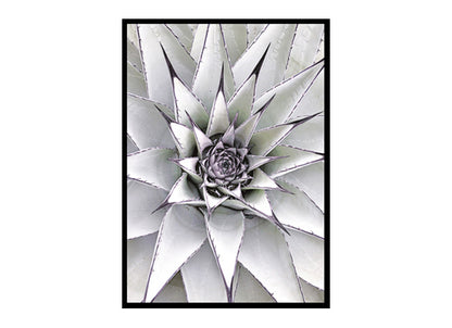 Minimalist Succulent Agave Minimalist Modern Art Poster Print