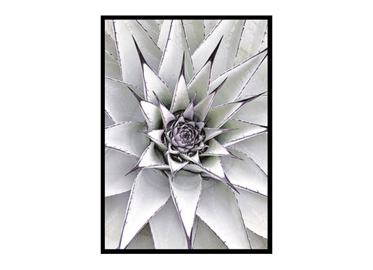 Minimalist Succulent Agave Minimalist Modern Art Poster Print