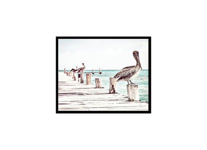 Coastal Pelican Birds Ocean, Sea, Beach Poster Print