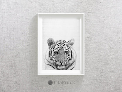 Tiger Print Art, Tiger Photo, Tiger Face Artwork Home Decor Animal Printable