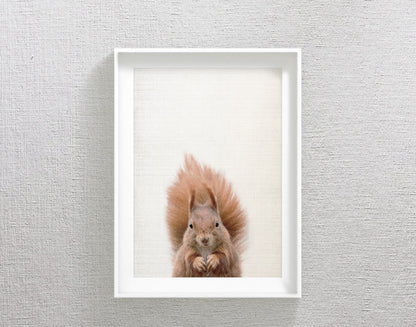 Squirrel Print, Squirrel Art, Squirrel Decor, Squirrel Printable, Home Decor Print