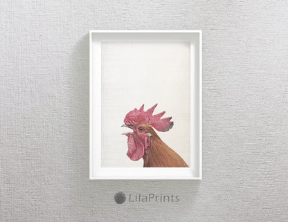 Rooster Art, Rooster Decor, Hen Print Wall Art Home Decor Animal Print