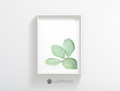 Cactus Poster, Cactus Art Print, Cacti, Cactus Printable Art, Home Decor Print