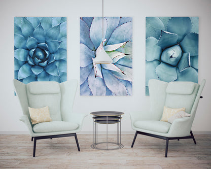 Cactus Art, Nursery Wall Prints, Succulent Print,Wall Decor, Home Decor Print