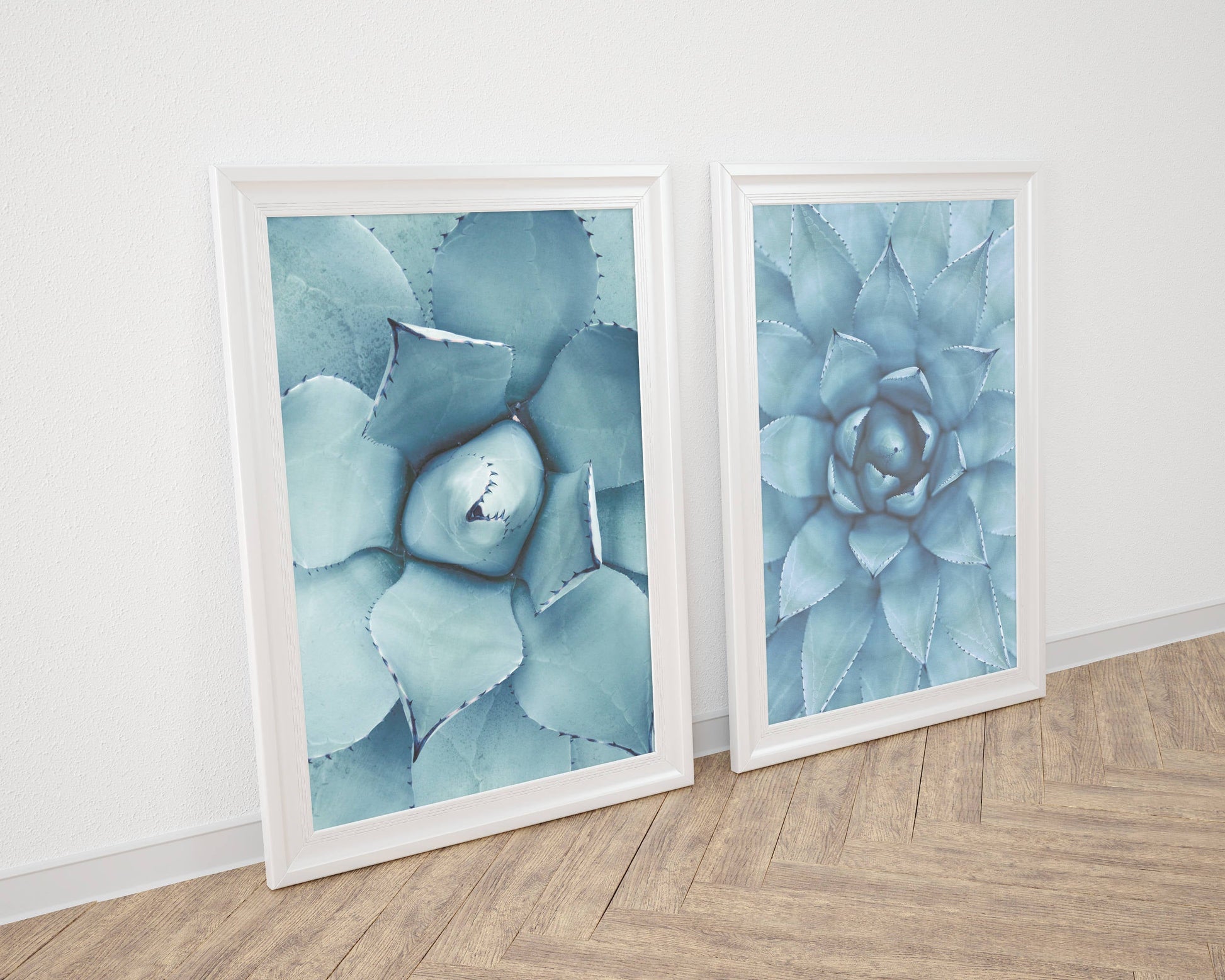 Cacti Photography,Cactus Poster,Nature Photos,Plant Art Print,Home Decor Print