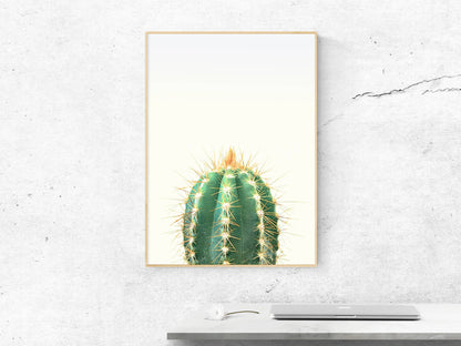 Large Cactus Print, Cactus Wall Art Download, Cactus Poster, Home Decor Print
