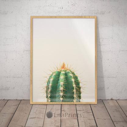 Large Cactus Print, Cactus Wall Art Download, Cactus Poster, Home Decor Print