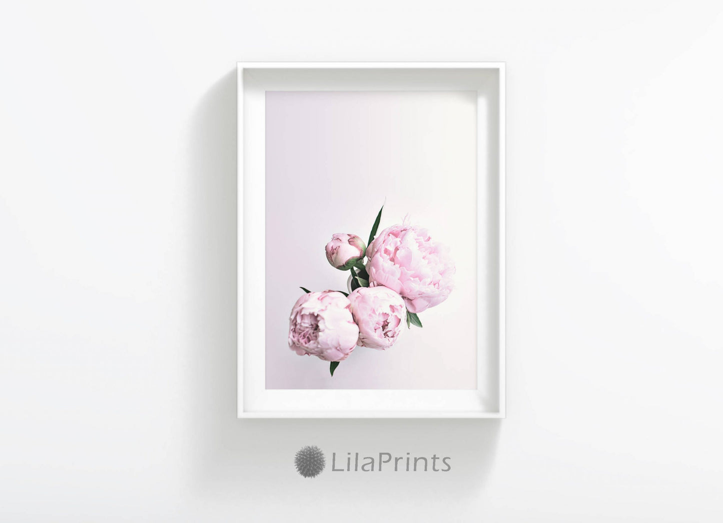 Pink Peony Art, Rose Print, Flower Art Pink Poster, Wall Art, Home Decor Print