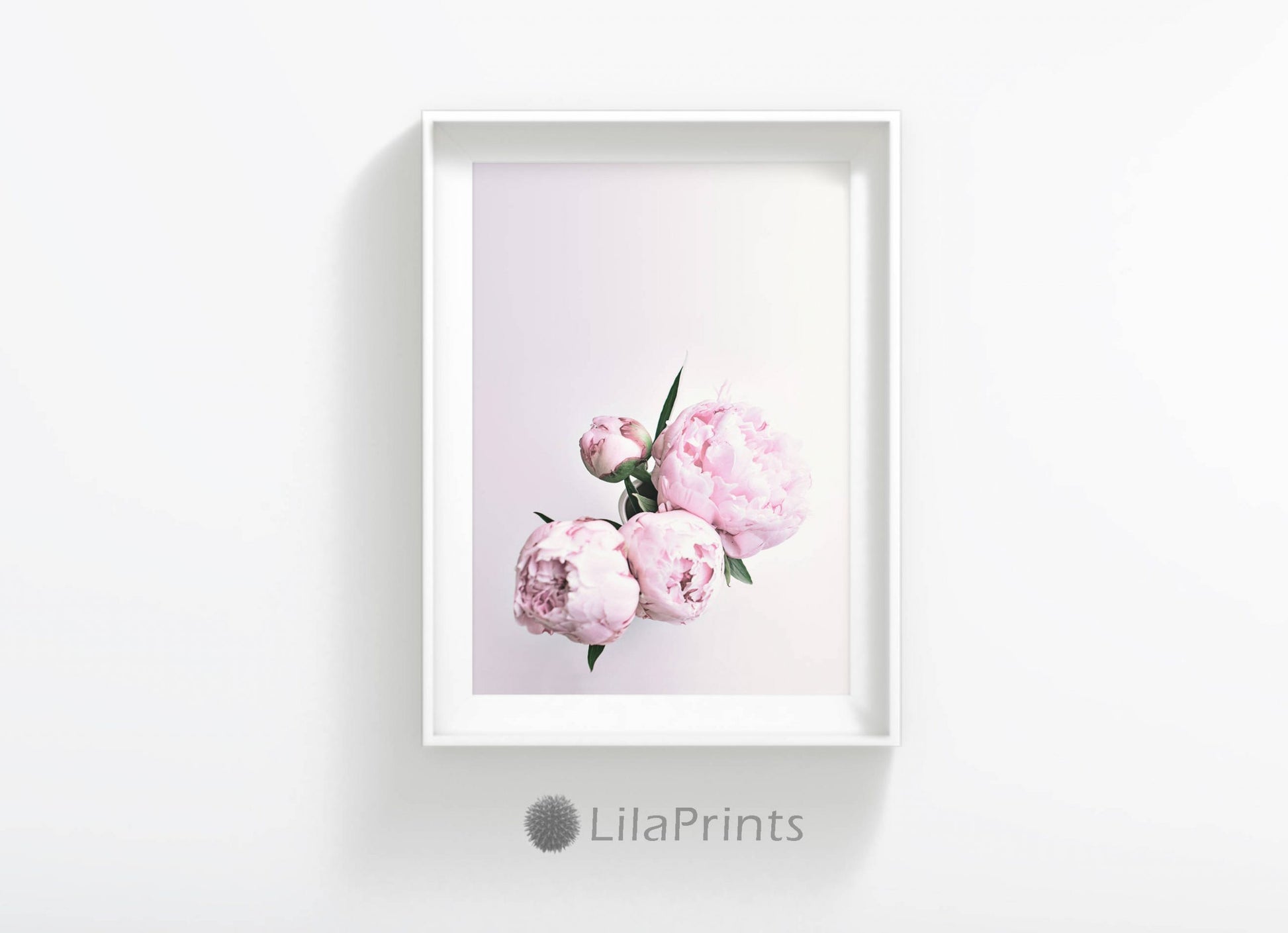 Pink Peony Art, Rose Print, Flower Art Pink Poster, Wall Art, Home Decor Print