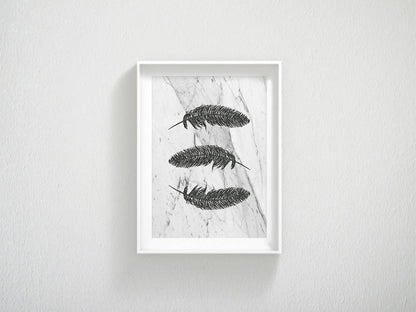 Black Feathers, Feather Print, Feather Printable Art, Room Wall Art Decor