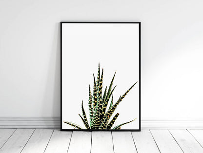 Cactus Wall Art Print, Succulent Print, Desert Wall Decor, Home Decor Print
