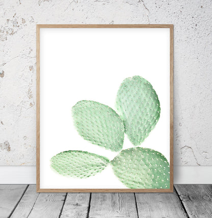 Cactus Poster, Cactus Art Print, Cacti, Cactus Printable Art, Home Decor Print