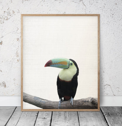 Toucan Print, Tropical Bird, Toucan Art, Tropical Art, Home Decor Animal Printable