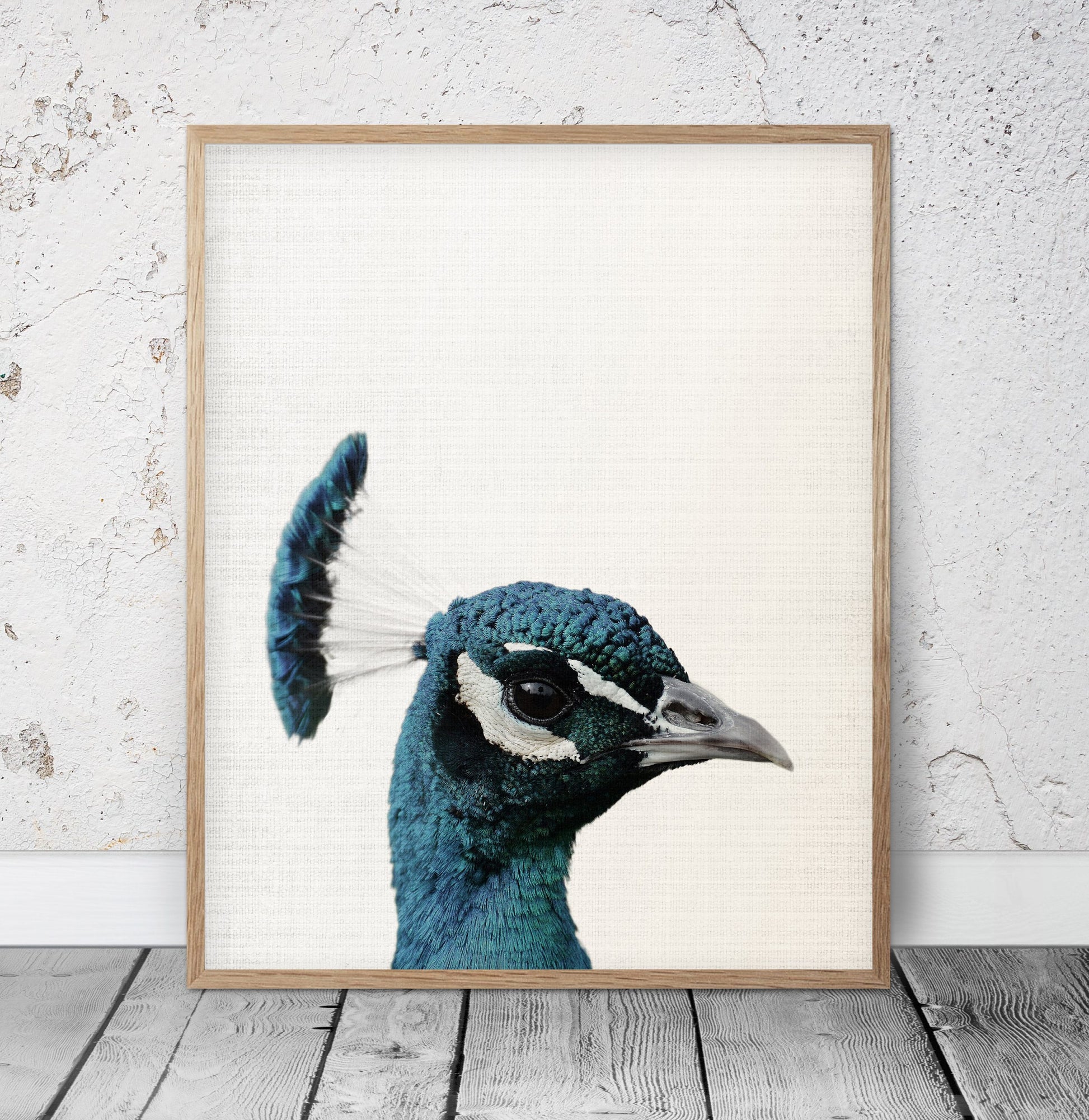 Peacock Print,Bird Art,Peacock Bird Wall Artwork,Home Decor Animal Printable
