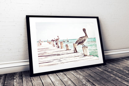 Coastal Wall Art, Pelican Print, Bird Prints, Pelican Wall Art, Home Decor Print