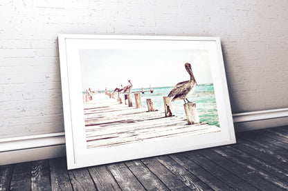 Coastal Wall Art, Pelican Print, Bird Prints, Pelican Wall Art, Home Decor Print