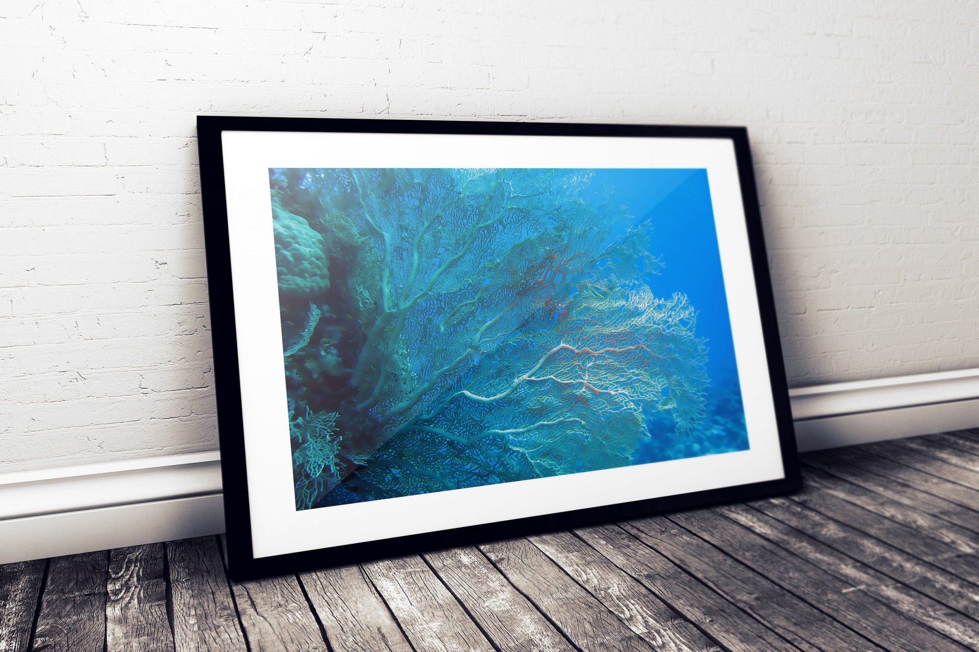 Coral Prints, Navy Decor, Underwater Photography, Aqua Print, Home Decor Print