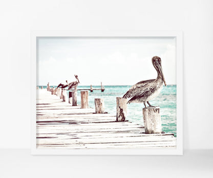 Coastal Wall Art, Pelican Print, Bird Prints, Pelican Wall Art, Home Decor Print