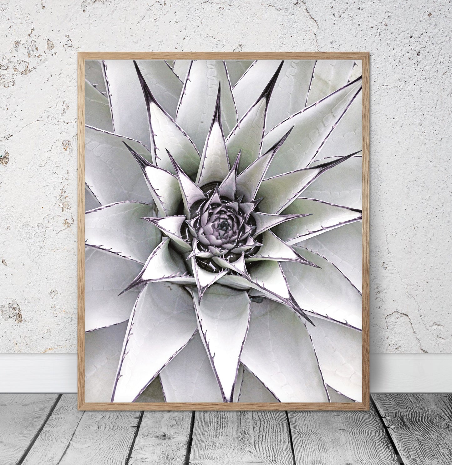 Succulent Agave Art, Modern Wall Print, Minimalist Poster,Room Wall Art Decor