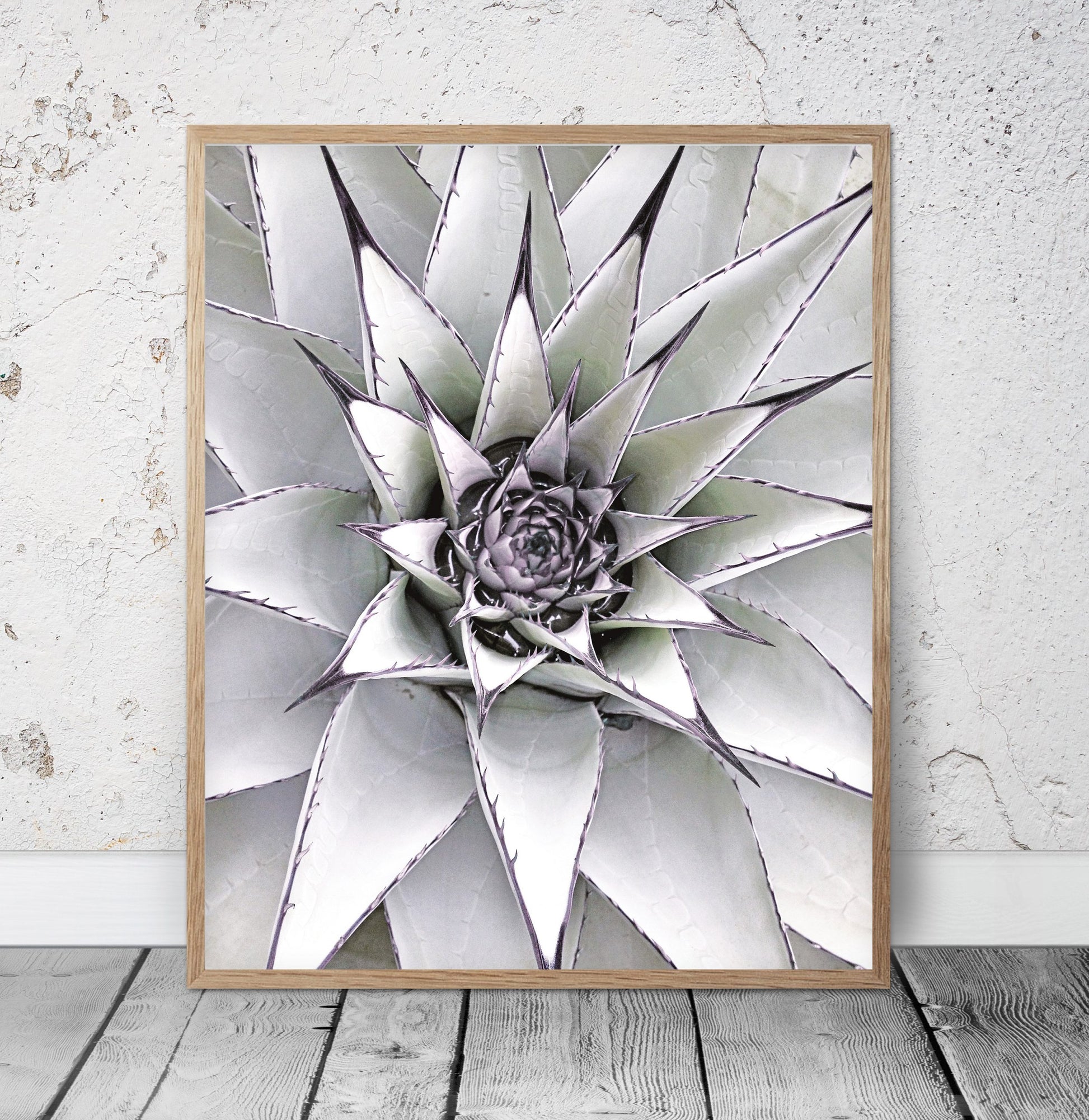 Succulent Agave Art, Modern Wall Print, Minimalist Poster,Room Wall Art Decor