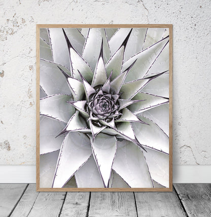 Succulent Agave Art, Modern Wall Print, Minimalist Poster,Room Wall Art Decor