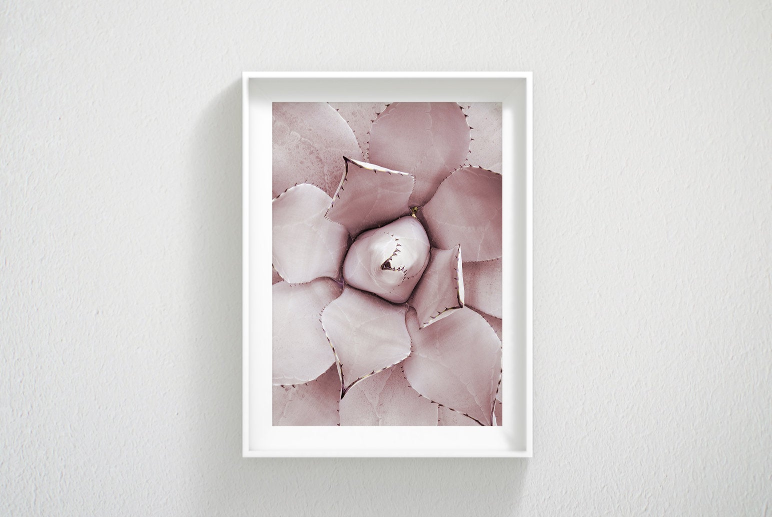 Pink Cactus Print, Pink Succulent Plant, Cactus Wall Art, Home Decor Print