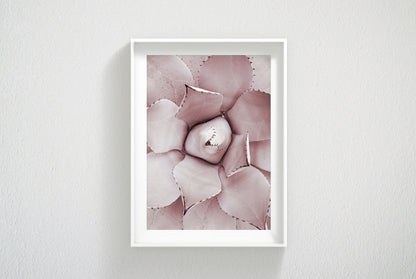 Pink Cactus Print, Pink Succulent Plant, Cactus Wall Art, Home Decor Print