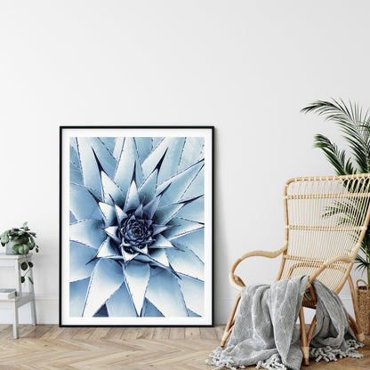 Succulent Printable Wall Art, Cactus Print, Succulents and Cacti, Home Decor Print