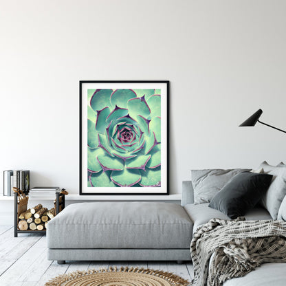 Cactus Print Art, Mexican Print, Cactus Decor, Nursery Prints, Home Decor Print